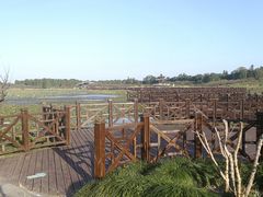 -上海海湾国家森林公园