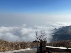 -阳台山自然风景区