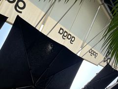 -gaga(深圳南山益田假日广场店)