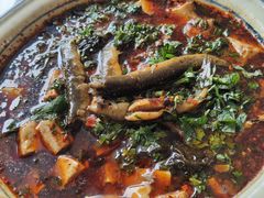 豆腐泥鳅-周鱼鳅饭店