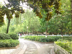 -绵阳人民公园(涪城区)