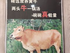 -谢继红26号牛肉汤(田家庵店)