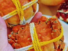 -阳澄湖大闸蟹·琼灵阁牌品牌连锁(吴中总店)