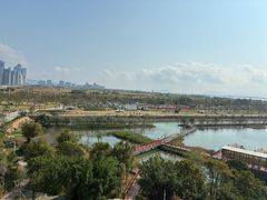 -芒洲湿地公园