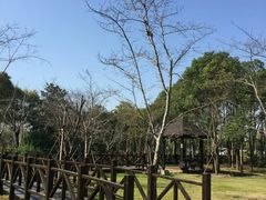 -自然谷恐龙园
