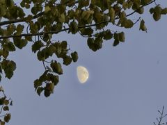 -森林公园(尖草坪区)