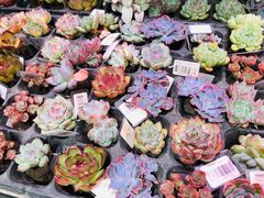 -KKV(深圳宏发大仟里店)