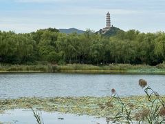 -北坞公园