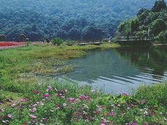 -广州市石门国家森林公园