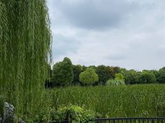 -蜀冈西峰生态公园