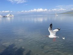 -青海湖国家重点风景名胜区