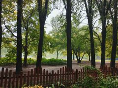 -上海共青森林公园