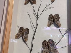 -陕西自然博物馆