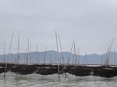 -北岐滩涂