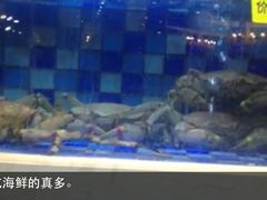 水产区-渔家海鲜舫(宝湖路店)