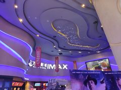 -万达影城(汉街万达广场IMAX店)