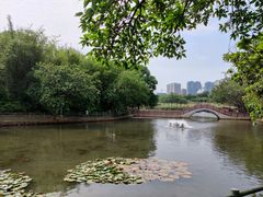 -深圳龙潭公园