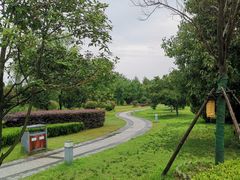 -南阳建业森林半岛假日酒店