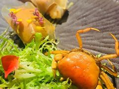 -桐寿司Sushi Tong