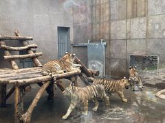 -西安秦岭野生动物园
