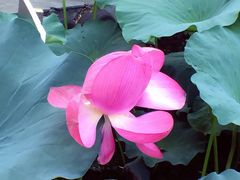 景点-武当山风景区