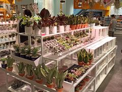 -KKV(深圳宏发大仟里店)