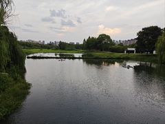 -洋湖国家湿地公园