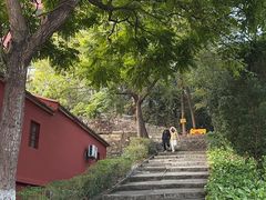 -梵天禅寺
