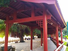 -光明港公园
