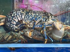 -三旗百汇商品城