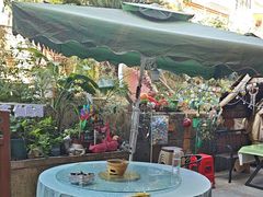 -鱼乐岛餐厅·户外花园主题餐厅