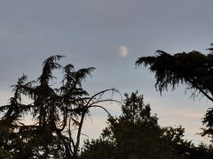 -国家植物园南园