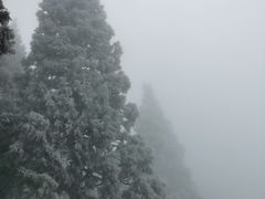 -南岳衡山风景名胜区-南岳大庙