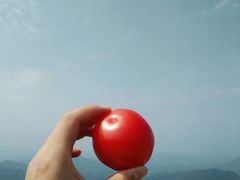 -东白山
