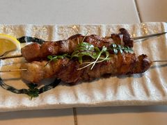 -蓝枪鱼Blue Marlin Infinita(星海店)