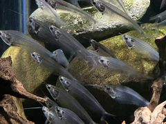 -太平洋海底世界