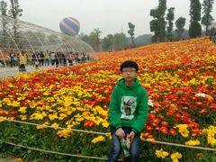 -秀丽东方