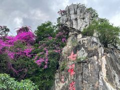 -星湖旅游景区七星岩