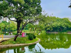 -晓港公园