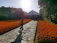 -天目湖涵田度假村