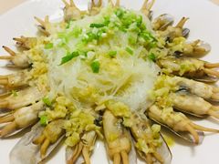-岳各庄批发市场(西四环中路店)