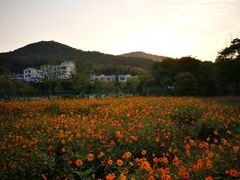 -乌石塘景区