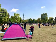 景点-重庆彩云湖湿地公园