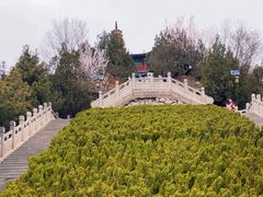 -白塔山公园