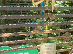 -广州神农草堂中医药博物馆