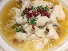 -Aqua Oasis 水天堂(石路天虹店)