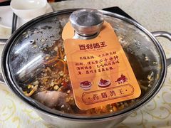 药膳锅底-百利鸽王(紫薇路店)