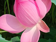 -南戴河国际娱乐中心