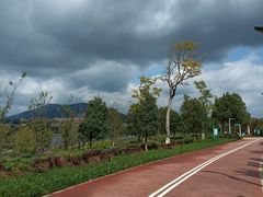 -安宁市宁湖森林公园