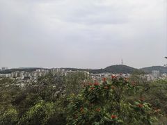 -佛山华盖山公园